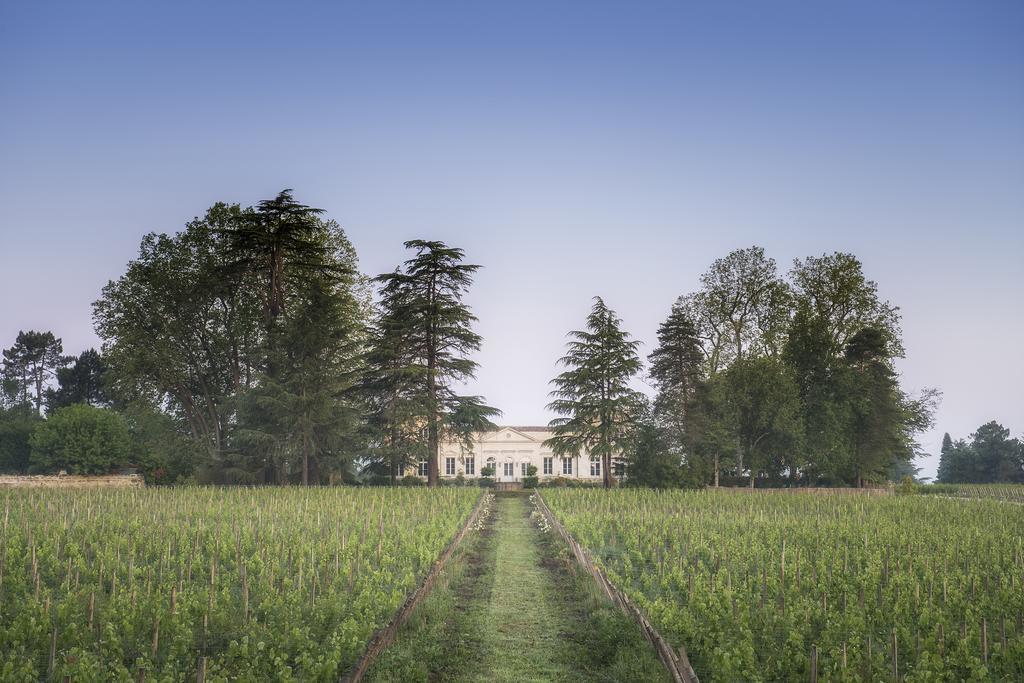 Château Le Pape B&B Léognan Exterior foto